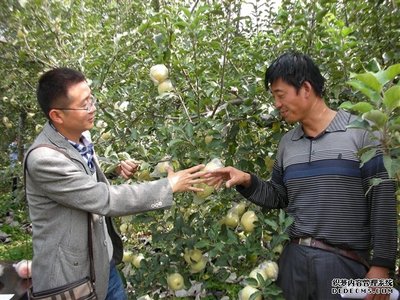 山西农大科技服务:论文写在地头 技术教给农民2014/11/4农业技术