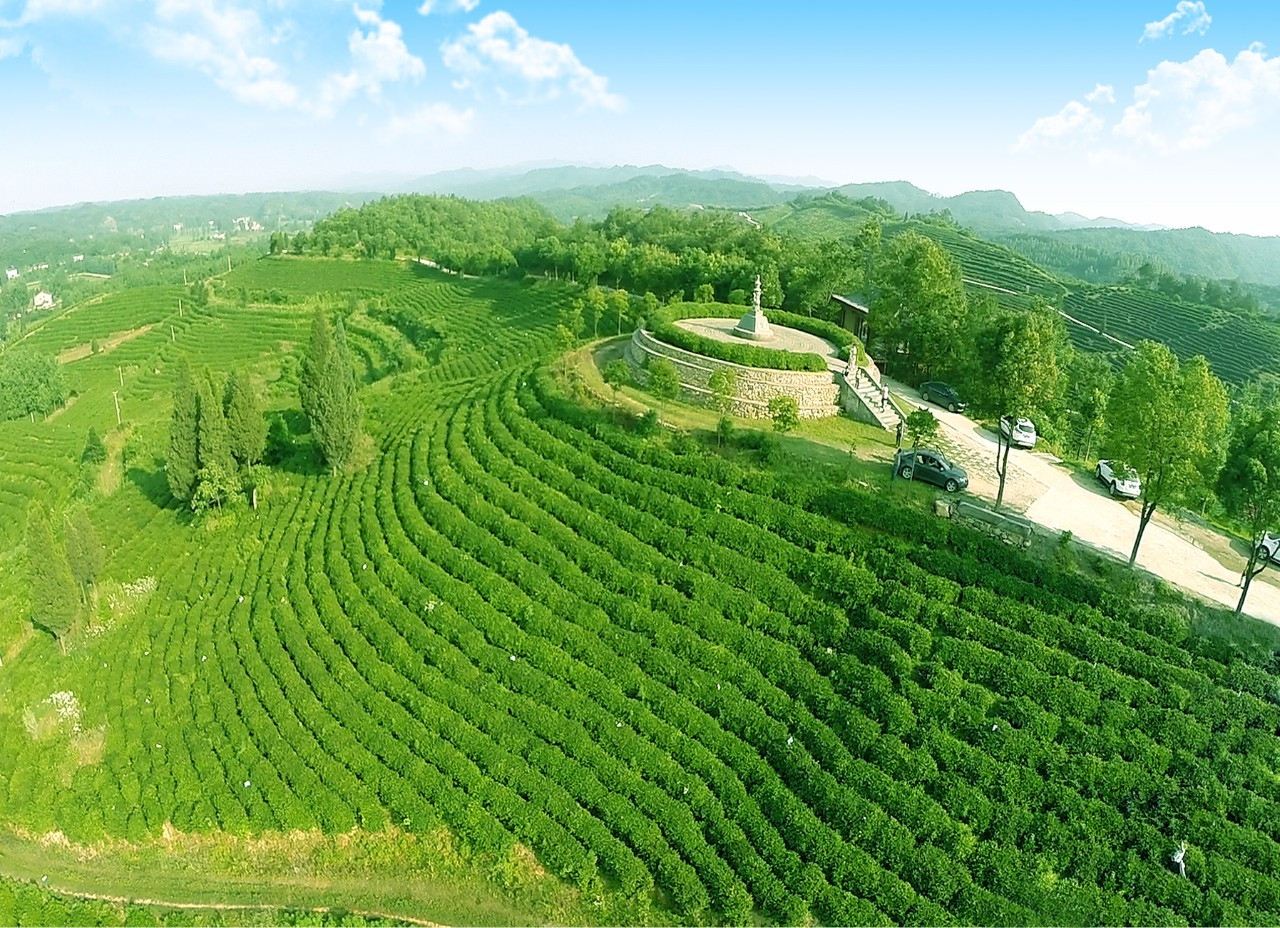 发展五山乡村旅游,用好每一脉青山,每一湾绿水!