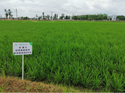 鹤山市深入推进农业技术研发工作,为产业振兴赋能增效