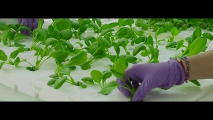 YSSC-02111农业技术室内种植科技化研发产品宣传片高清实拍