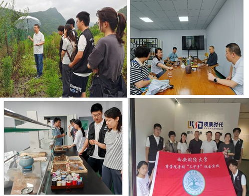 暑期三下乡 以 茶旅 研学 新模式谱写陕西茶产业高质量发展新篇章 茶寻记 白河县调研特辑⑥