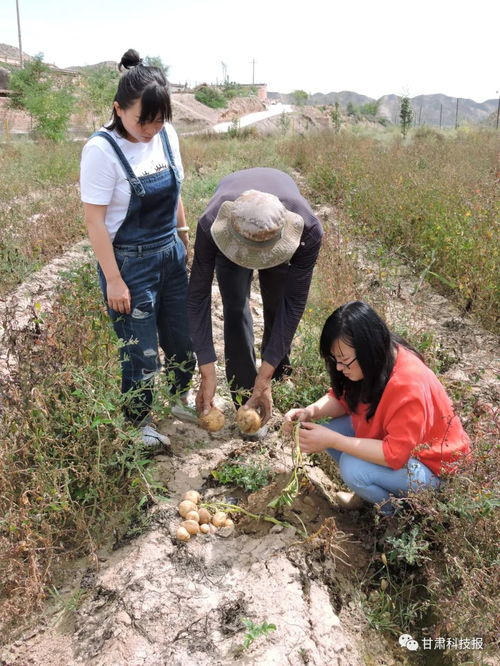 专注生物农药研发 服务绿色农业发展 记甘肃省科学院生物研究所农业生物技术研究室主任刘锦霞