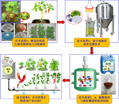 我院武占省教授牵头完成的“多功效微生物菌剂研发与推广应用”成果 荣获中国产学研合作促进会2023年产学研合作创新成果奖二等奖